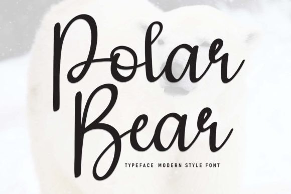 Polar Bear Font: A Designer's Real Campaign Review