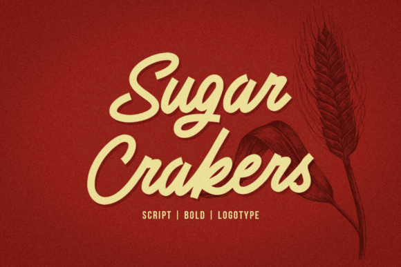 Sugar Crakers: The Sweet Spot Between Handmade Charm and Professional Polish